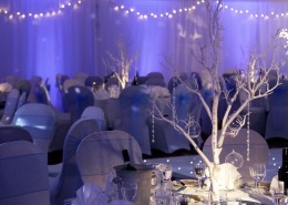Marriott Portsmouth Chair cover trees full room drape twig tree centerpiece with pin spots