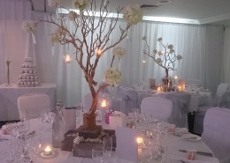 white backdrop drapes and uplighters at solent hotel and spa
