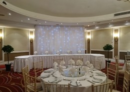 2 x artificial bay trees and backdrop at portsmouth marriott