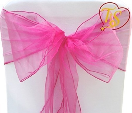 Bubblegum Pink Organza Sash