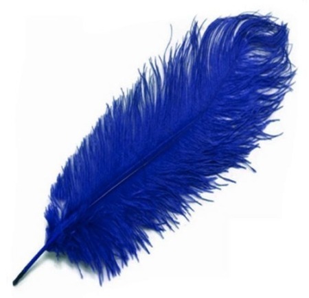 Blue Ostrich Feather 15-20cm