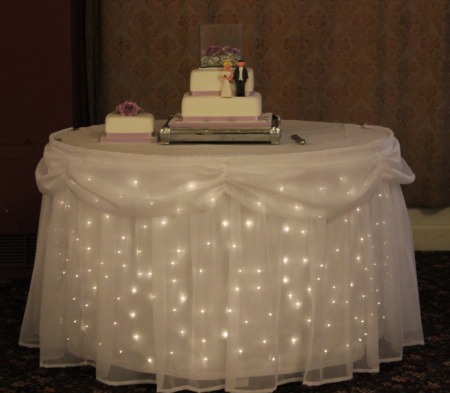 Cake Table skirt