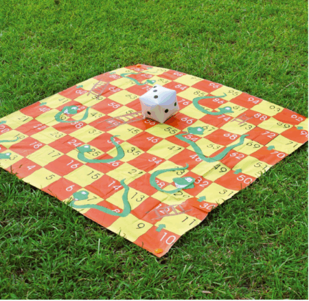 Giant Snakes and Ladders